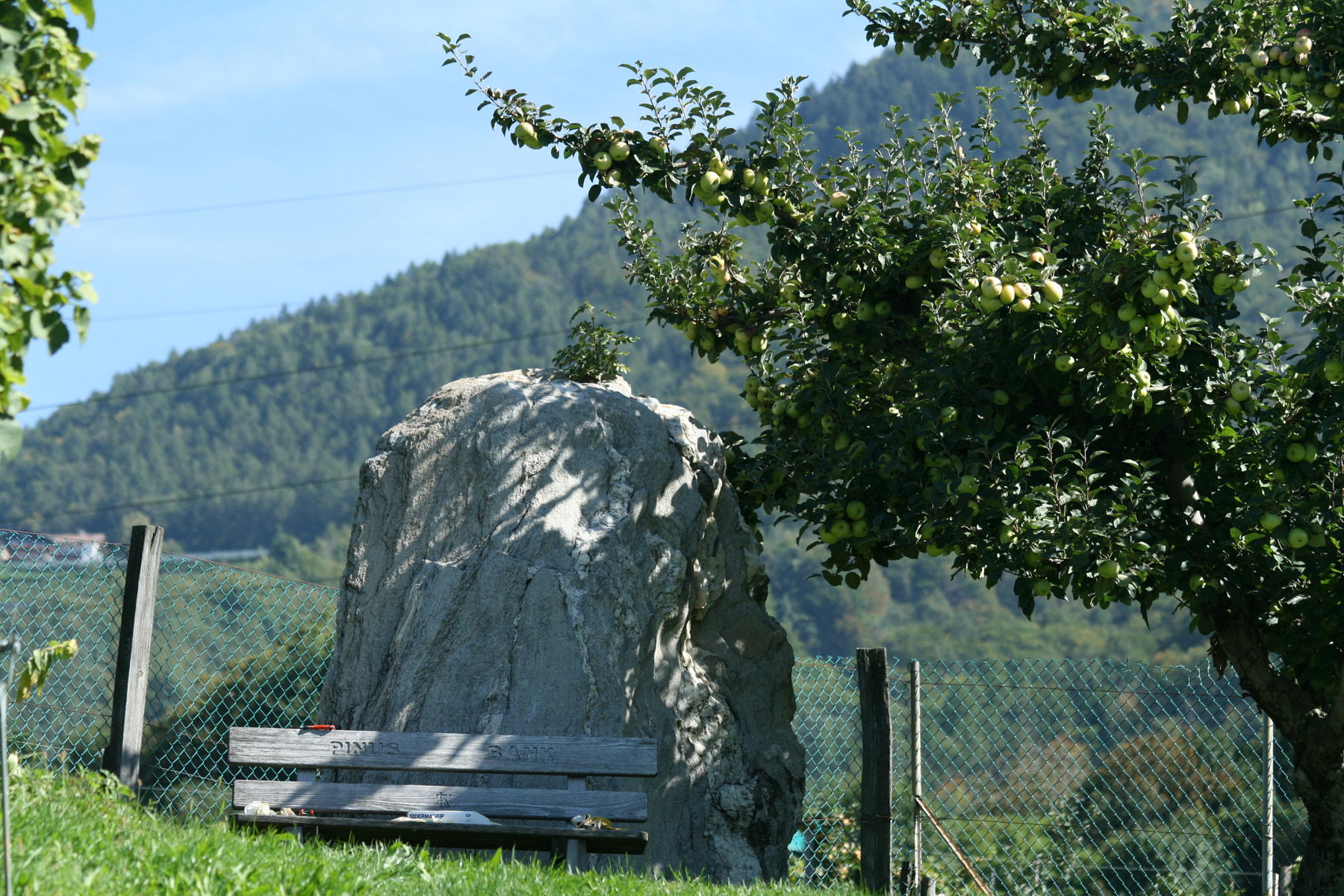 Weingut Zirmerhof Logo